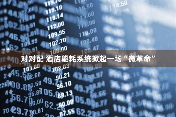 对对配 酒店能耗系统掀起一场“微革命”
