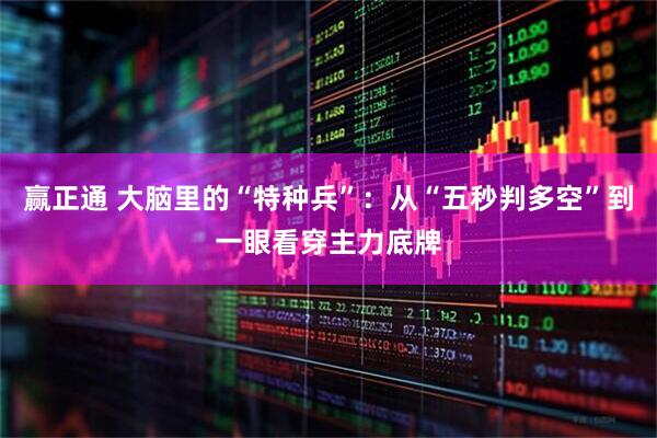 赢正通 大脑里的“特种兵”：从“五秒判多空”到一眼看穿主力底牌