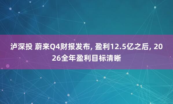 泸深投 蔚来Q4财报发布, 盈利12.5亿之后, 2026全年盈利目标清晰